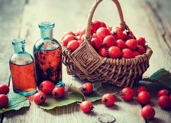 Fruits of hawthorn to increase a member